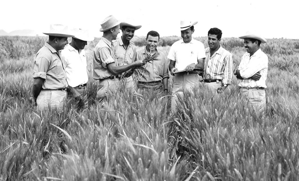 Dr. Norman Borlaug photo